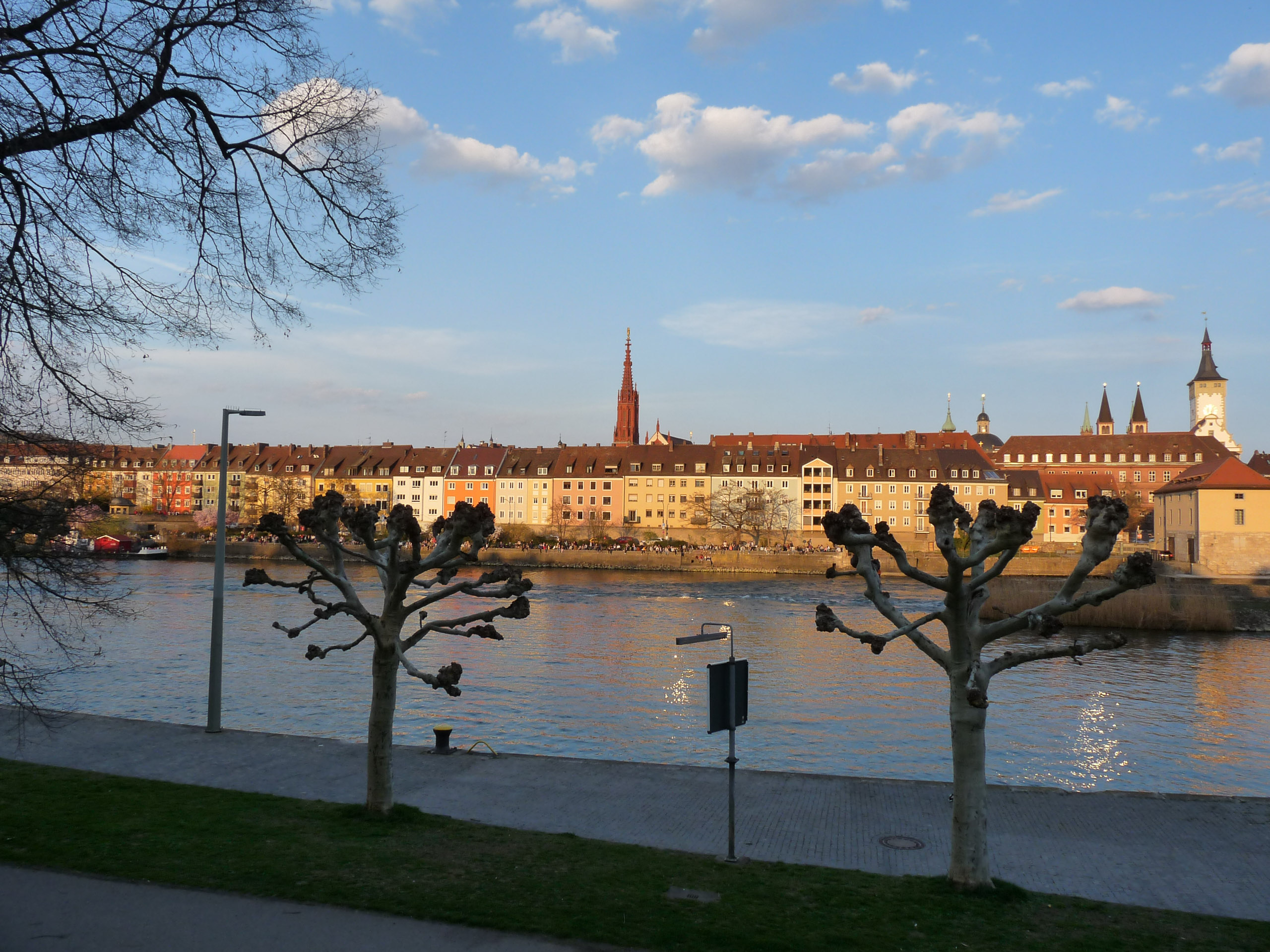 20190330183216 P1120350